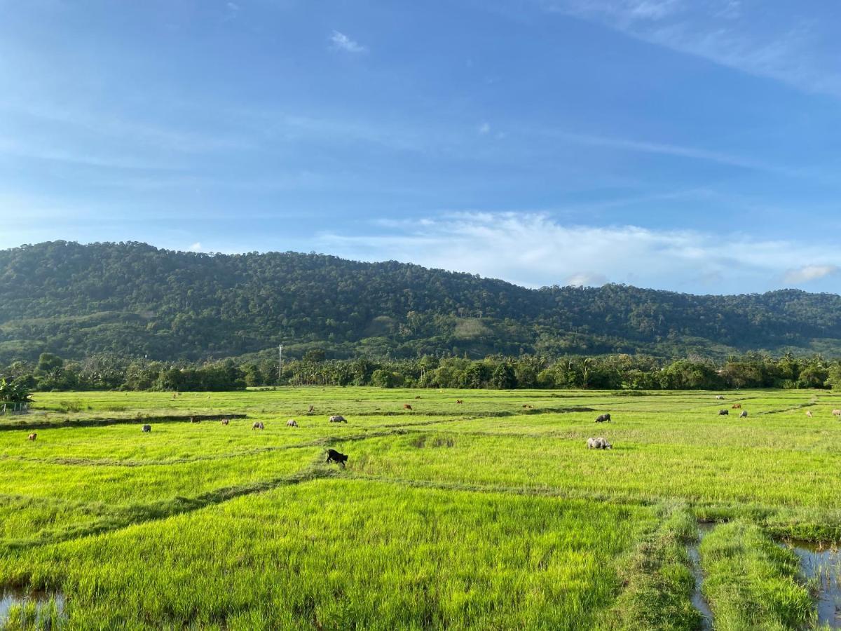Lamanleman Langkawi Pantai Cenang  Esterno foto